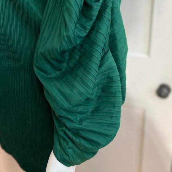 Scarlet Sage Emerald Green Plisse Asymmetric Top - OS - Picture 2 of 6